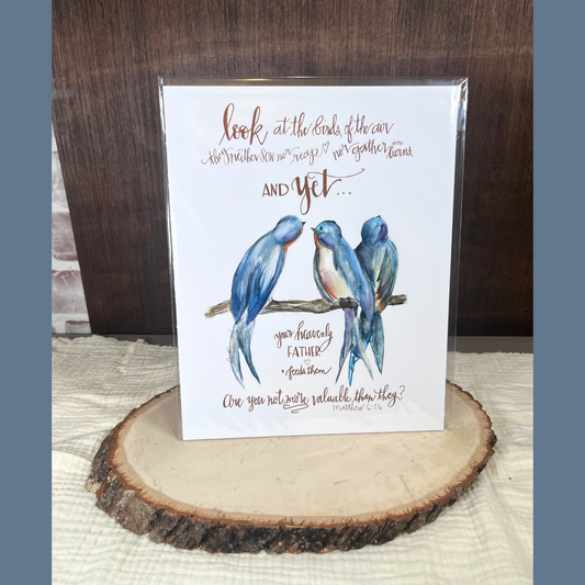 Birds of the Air