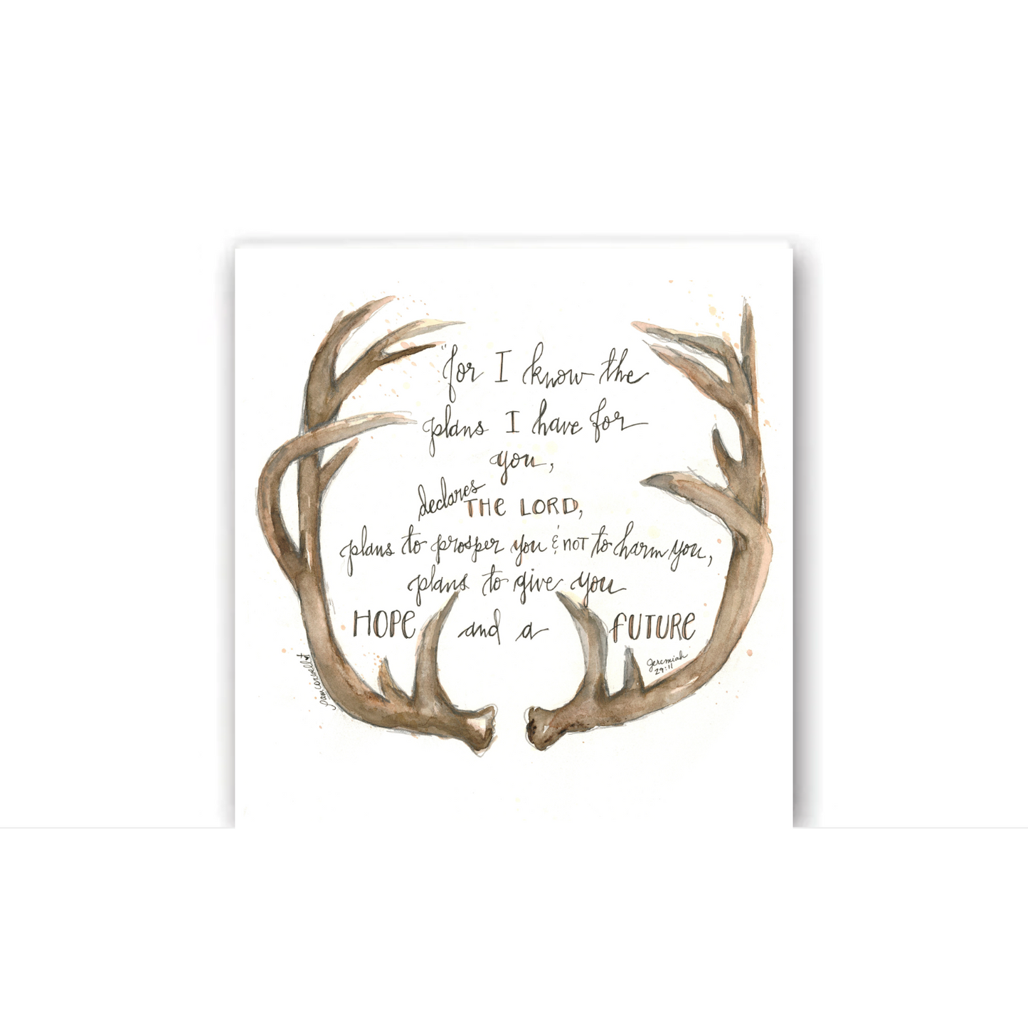 Deer - Antlers