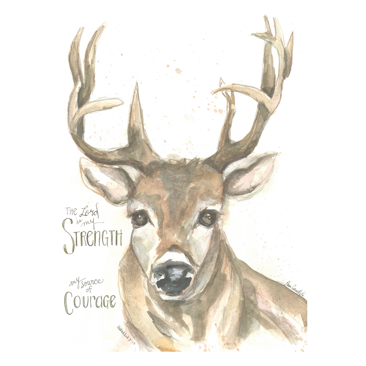 Deer - Buck