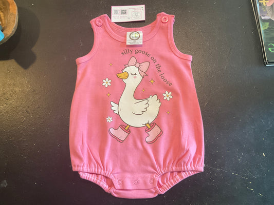 D’s Designs Silly Goose 18M