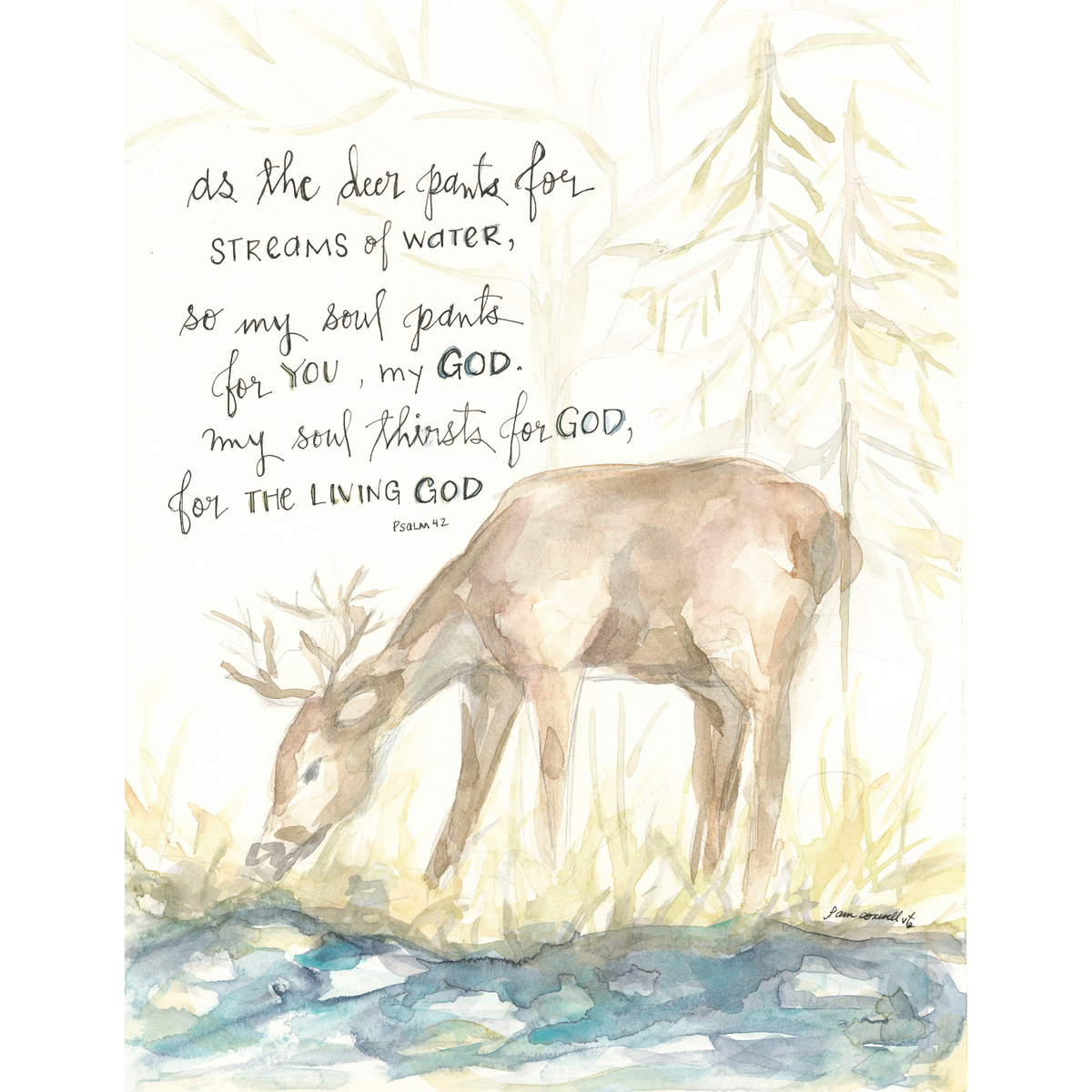 As the Deer Pants