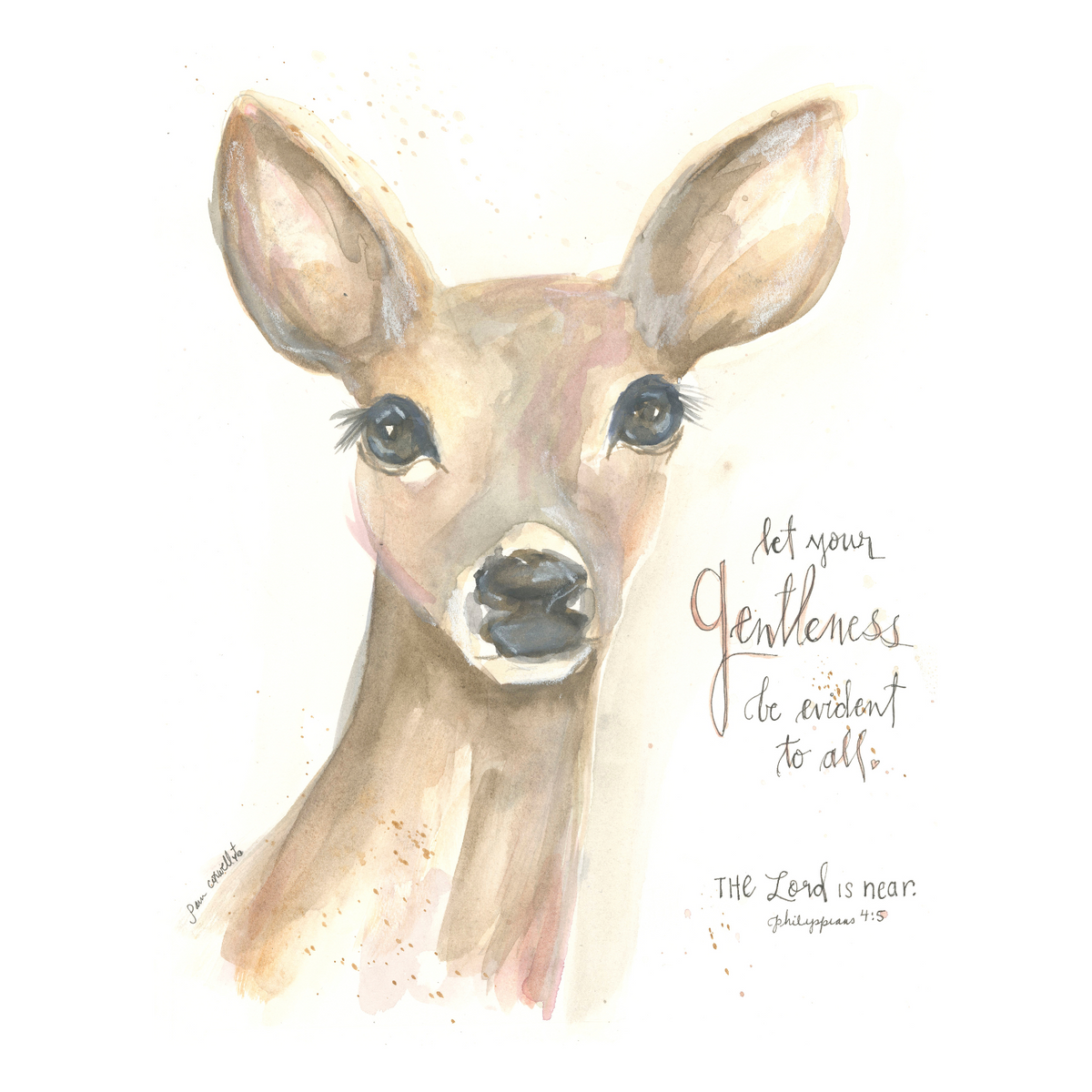 Deer - Doe